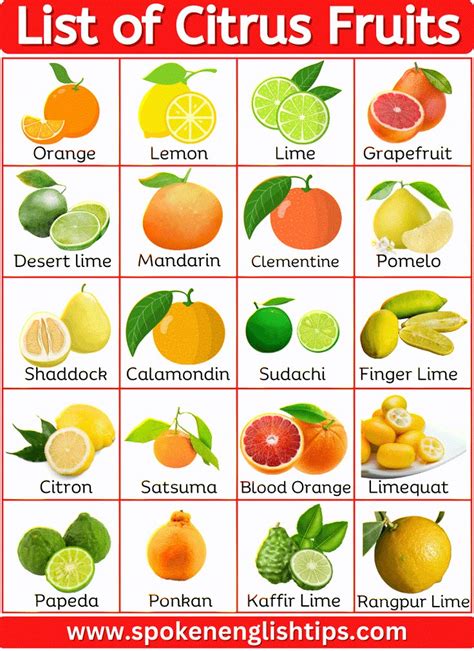 list of citrus|A Complete Guide to Citrus Fruits .